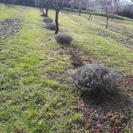 Kéknefelejcs Appartamento *