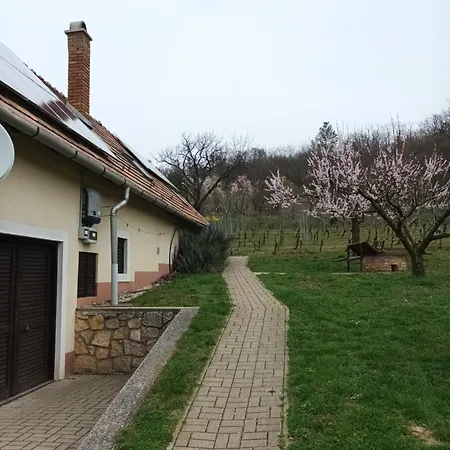 Kéknefelejcs Appartamento Tapolca