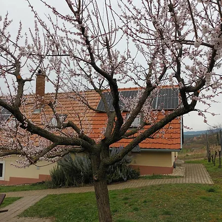Keknefelejcs Vendeghaz Apartment